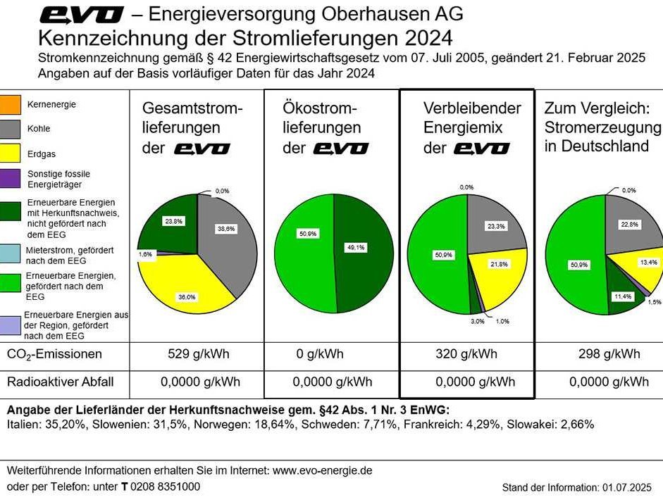 Eine Grafik die zeigt, wie sich der Strom der evo zusammensetzt.